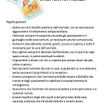 Lejlighed Regolo Rent